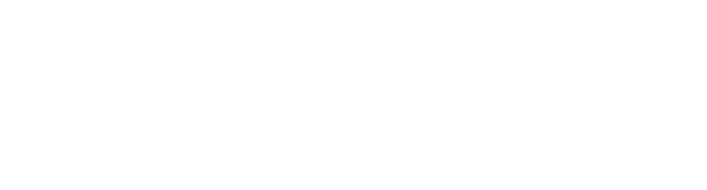 logo spring orizzontale bianco